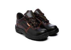 Designer Shoes